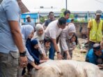 Hari ini kita kembali belajar tentang pengorbanan yang melahirkan kebaikan, dan langkah yang dir